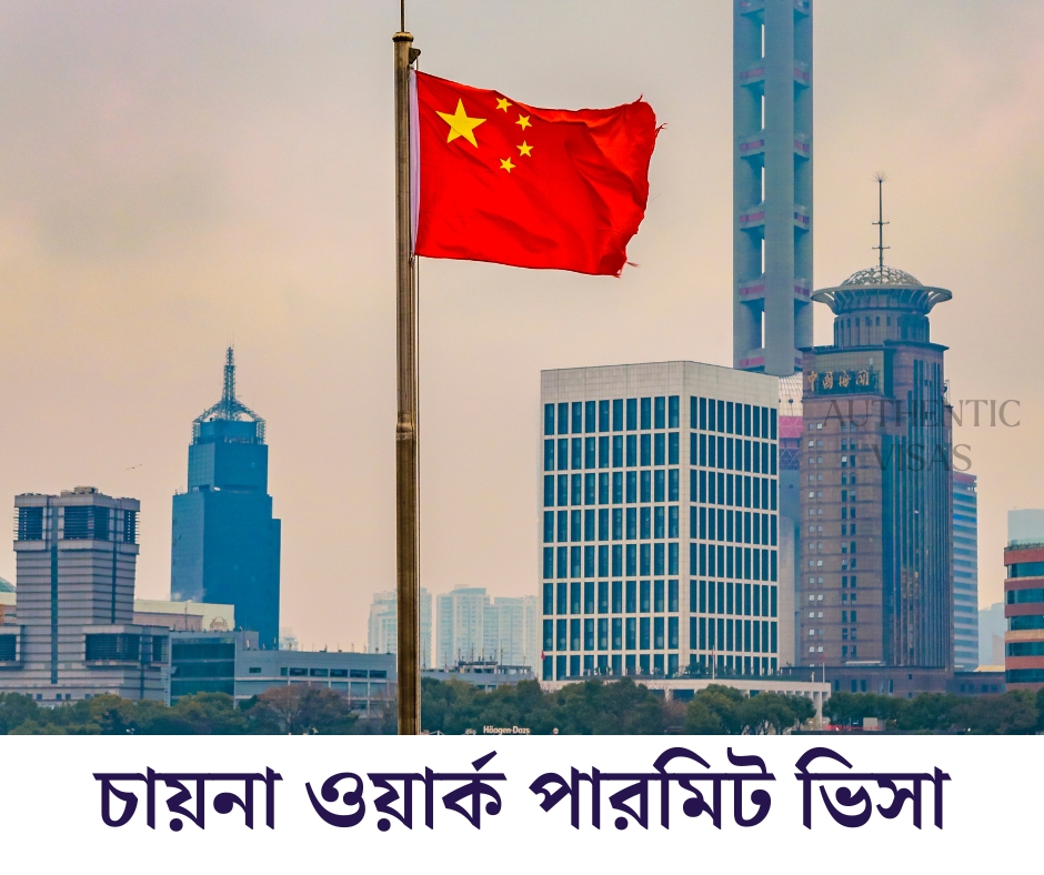 চায়না ওয়ার্ক পারমিট ভিসা - Authentic visas